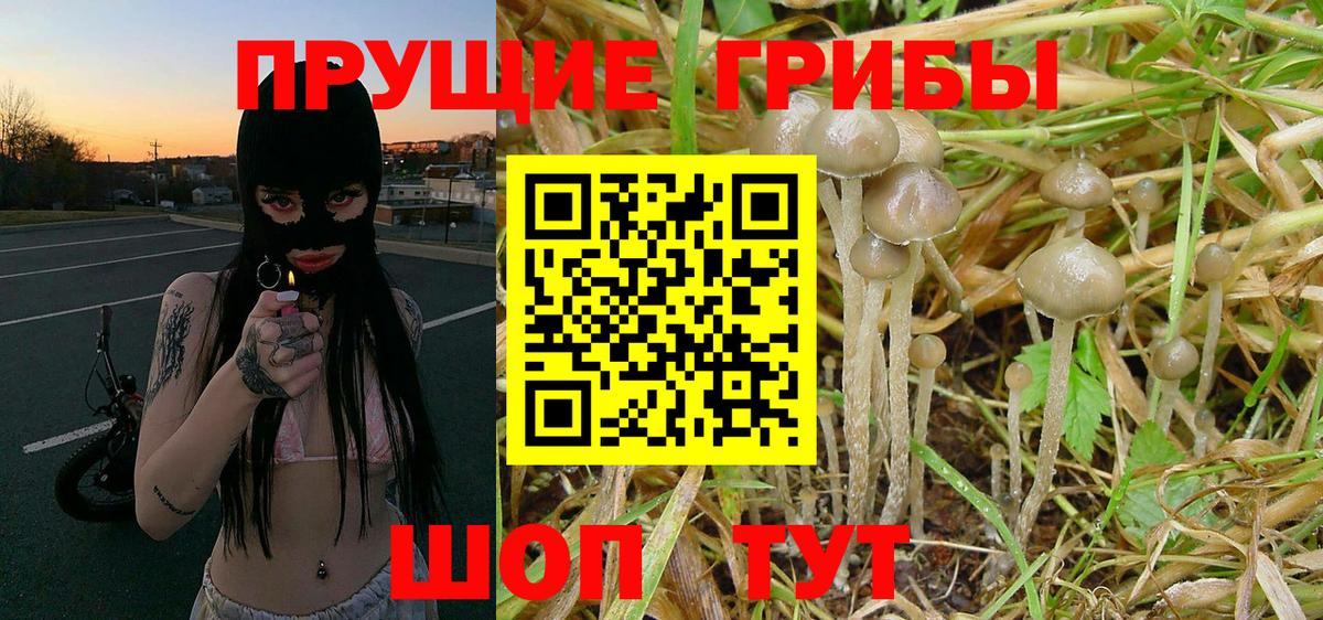 Галлюциногенные грибы MAGIC MUSHROOMS  Вход с VPN  Галлюциногенные грибы прущие грибы  Владивосток 