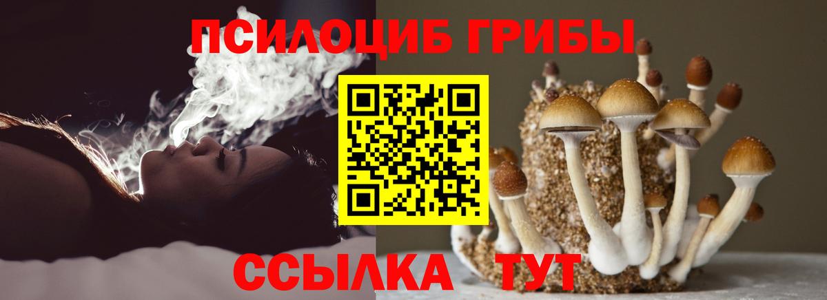 Псилоцибиновые грибы прущие грибы Владивосток